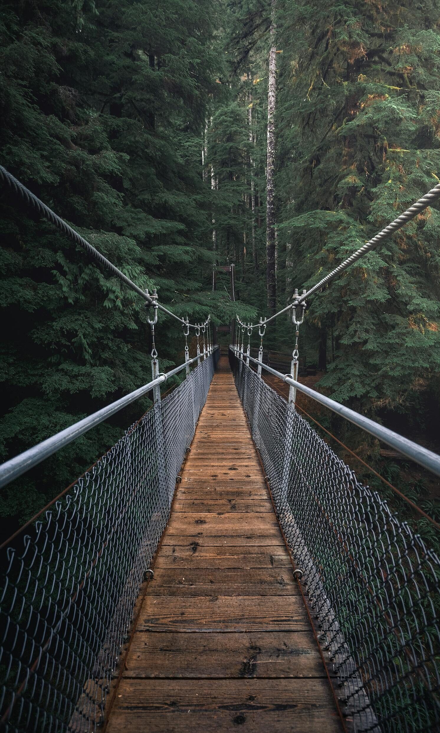 First Perspective Photography of Hanging Bridge